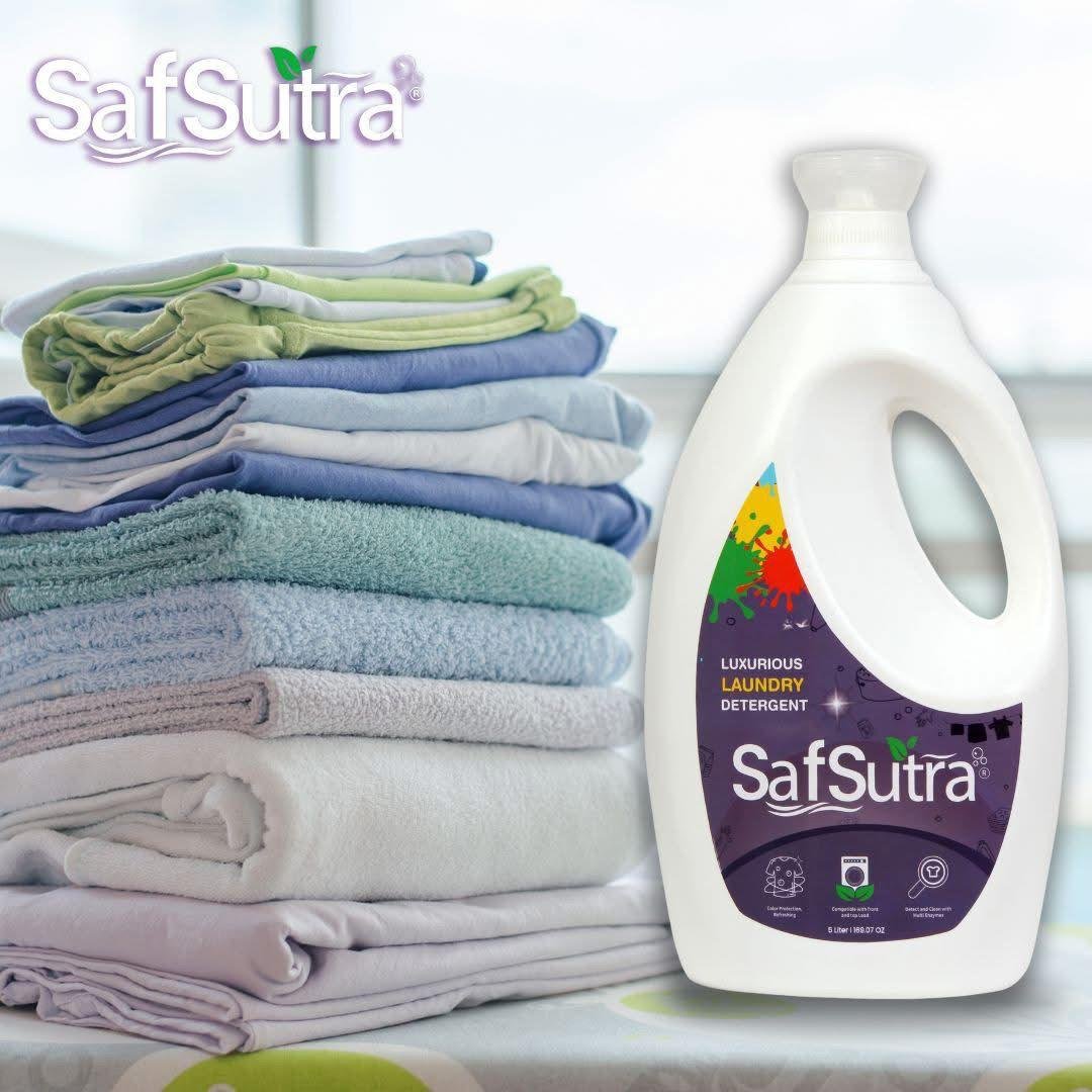 sansevieria golden flame sansevieria golden flame